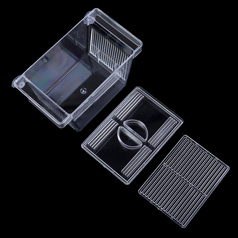 Aquarium Aquarium Guppy Doppel – Aquarium Fish Eggs Bewertung und Preis