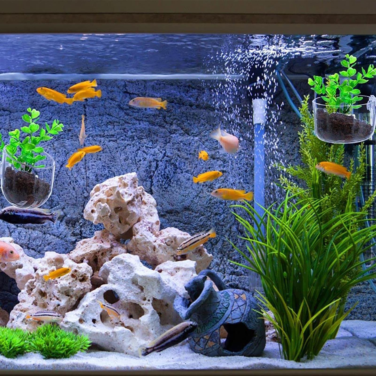 Acryl-Aquarien-Pflanzentöpfe,  – Aquarium Fish Beautiful Bewertung und Preis