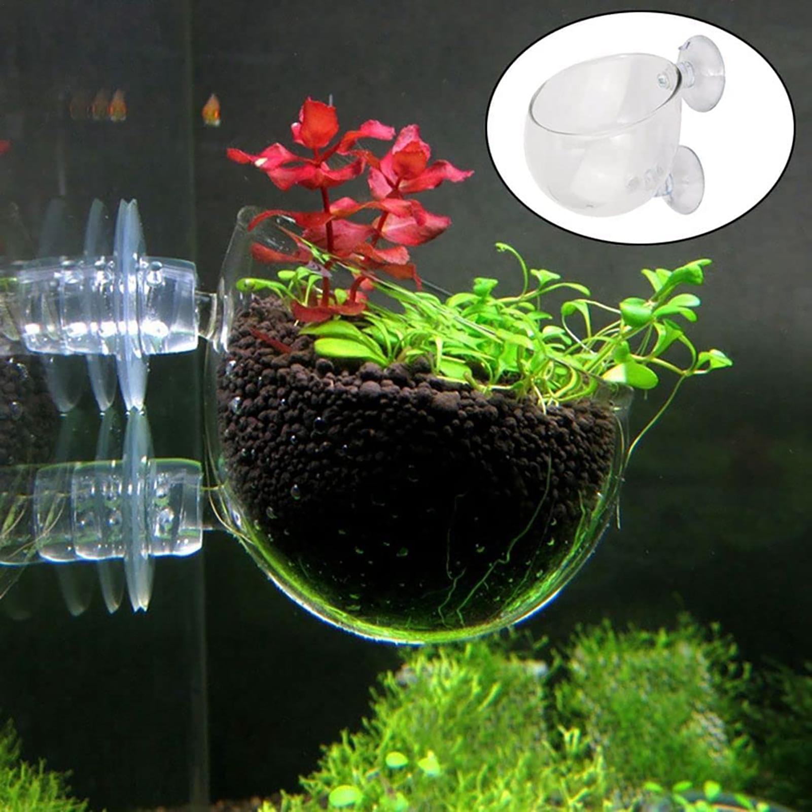 Acryl-Aquarien-Pflanzentöpfe,  – Aquarium Fish Beautiful Bewertung und Preis