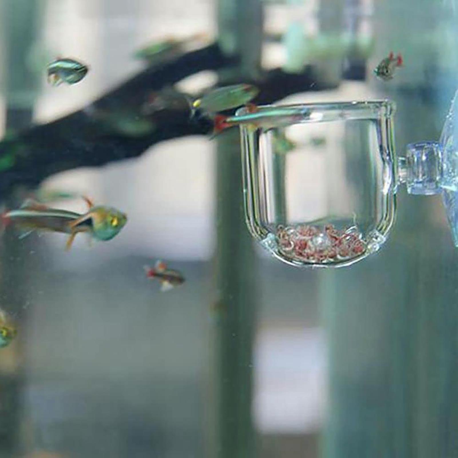 Acryl-Aquarien-Pflanzentöpfe,  – Aquarium Fish Beautiful Bewertung und Preis