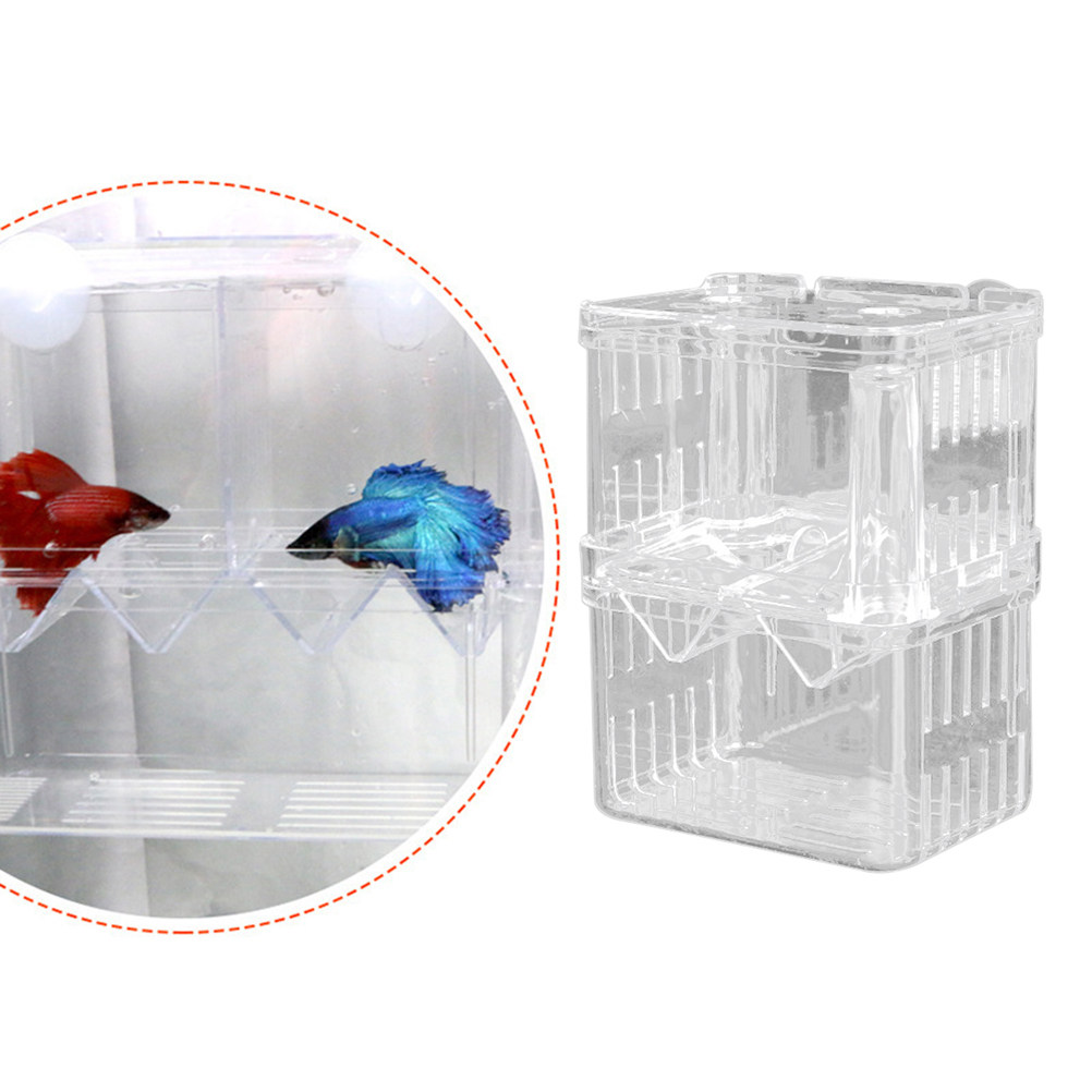 Transparente Fischzuchtbox für – Aquarium Fish Rate Bewertung und Preis