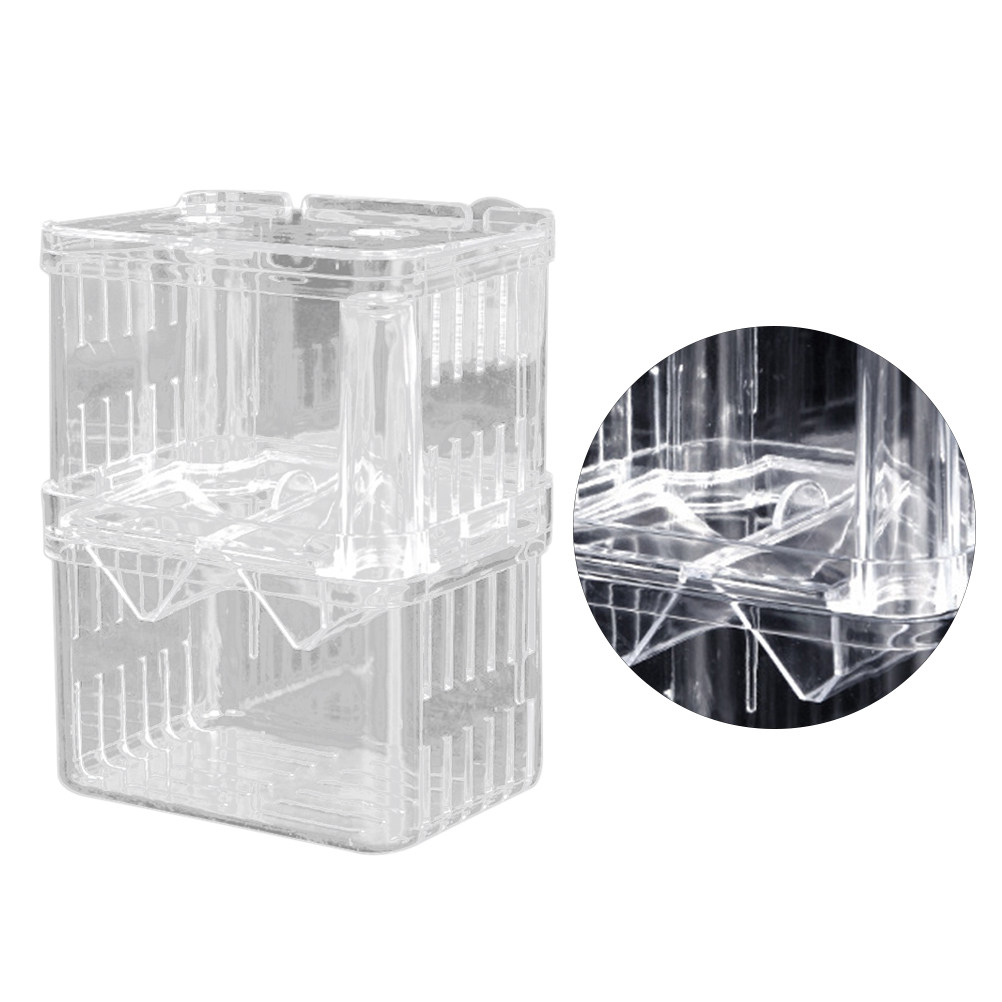 Transparente Fischzuchtbox für – Aquarium Fish Rate Bewertung und Preis