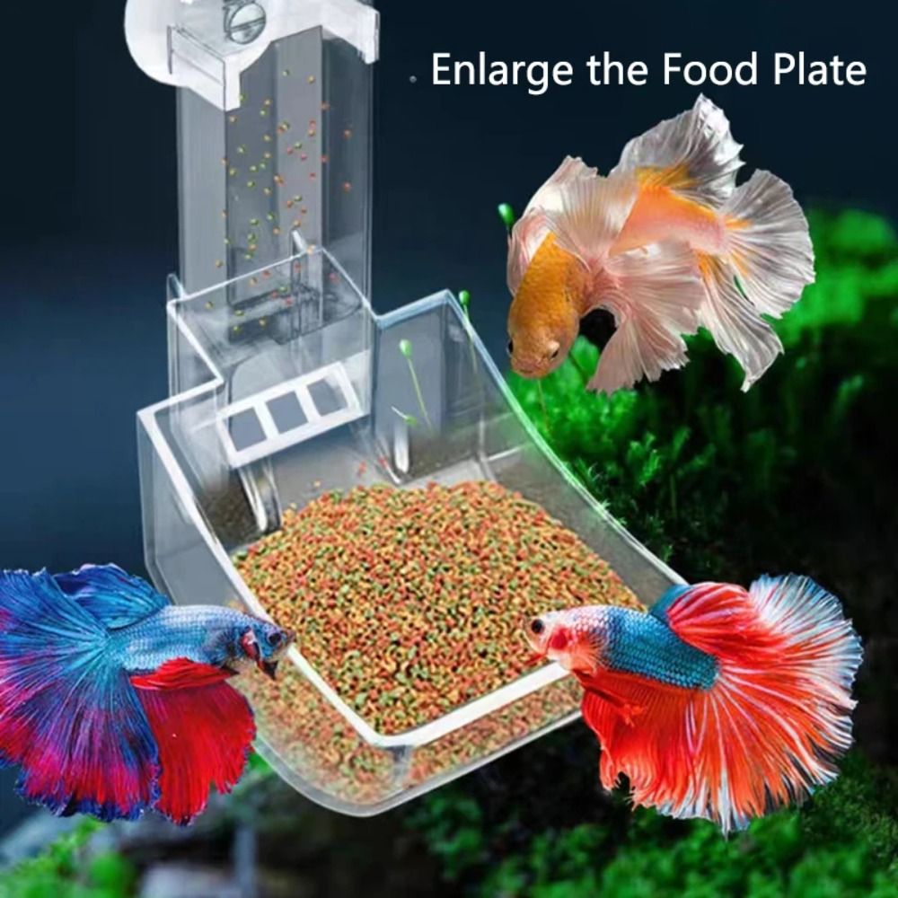 Transparentes Futterspenderroh – Aquarium Fish Price Bewertung und Preis