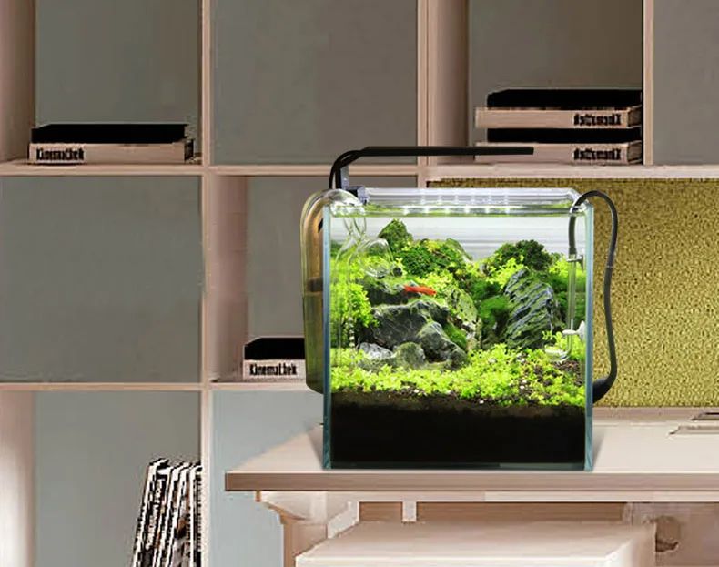 Spirituosen C-Serie ADA-Stil P – Aquarium Fish Store Bewertung und Preis