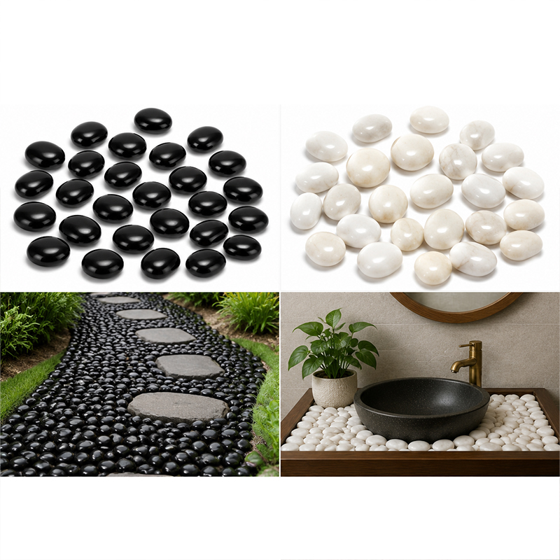 Weiß-schwarze polierte Flussst – Aquarium Fish Store Bewertung und Preis