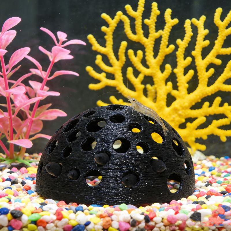 Versteckte Höhle für kleine Fi – Aquarium Fish Games Bewertung und Preis