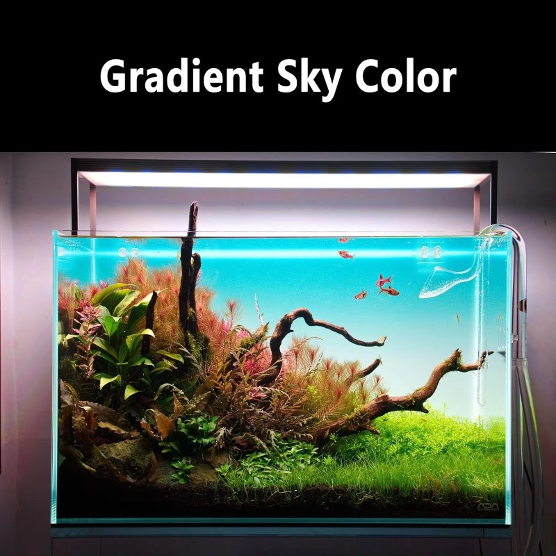 Aquarium Fischbecken Acryl Far – Aquarium Fish Rate Bewertung und Preis