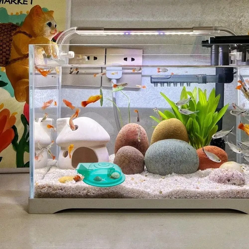 Süßwasser- und Salzwasser-Aqua – Aquarium Fish Eggs Bewertung und Preis