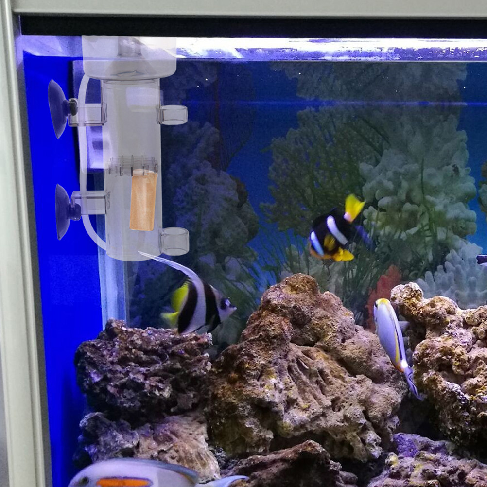 Proteinabschäumer, interner Mi – Aquarium Fish Marine Bewertung und Preis