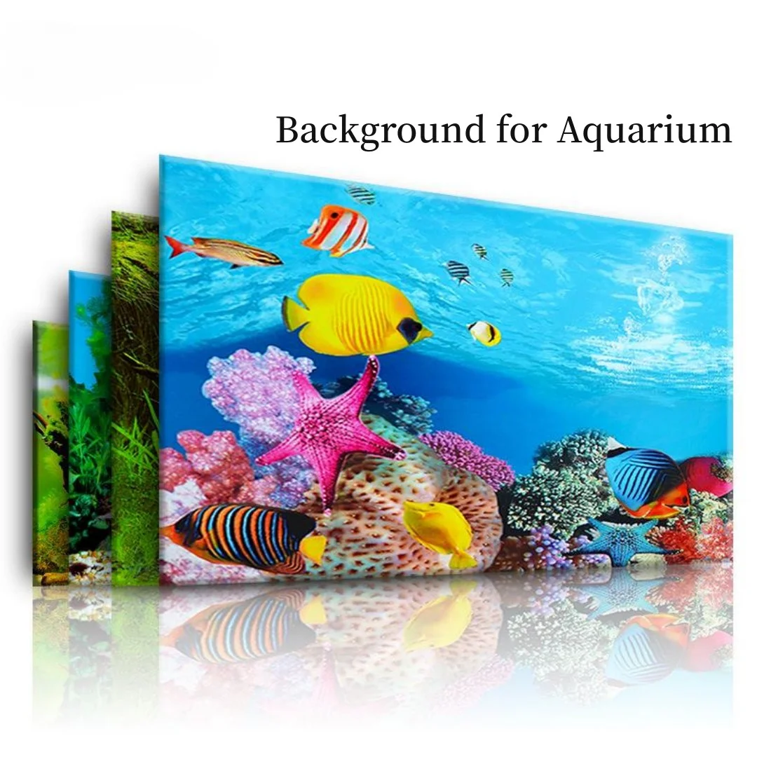 Hintergrund Aquarium 3D Aufkle – Aquarium Fish Cichlid Bewertung und Preis