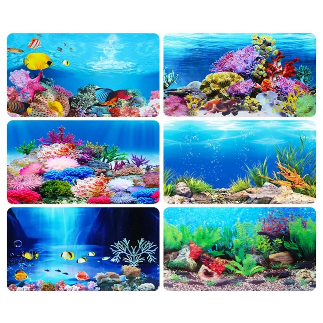 Hintergrund Aquarium 3D Aufkle – Aquarium Fish Cichlid Bewertung und Preis