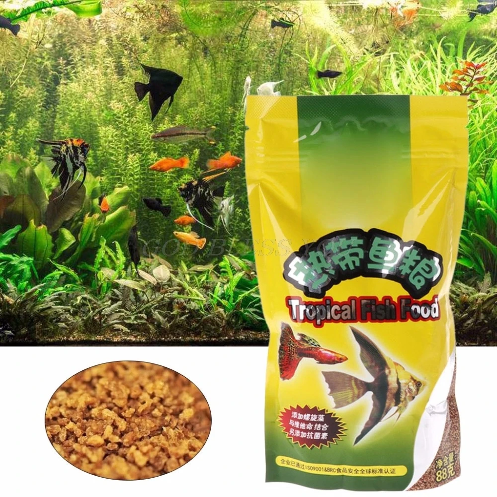 Aquarium-Tank, tropisches Fisc – Aquarium Fish Price Bewertung und Preis