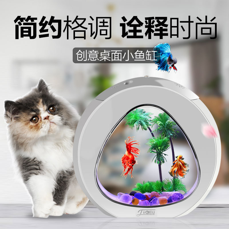 Jialu kreative Desktop Aquariu – Aquarium Fish Delivery Bewertung und Preis