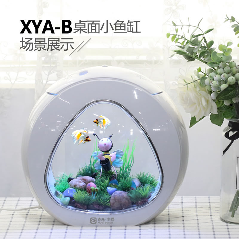 Jialu kreative Desktop Aquariu – Aquarium Fish Delivery Bewertung und Preis