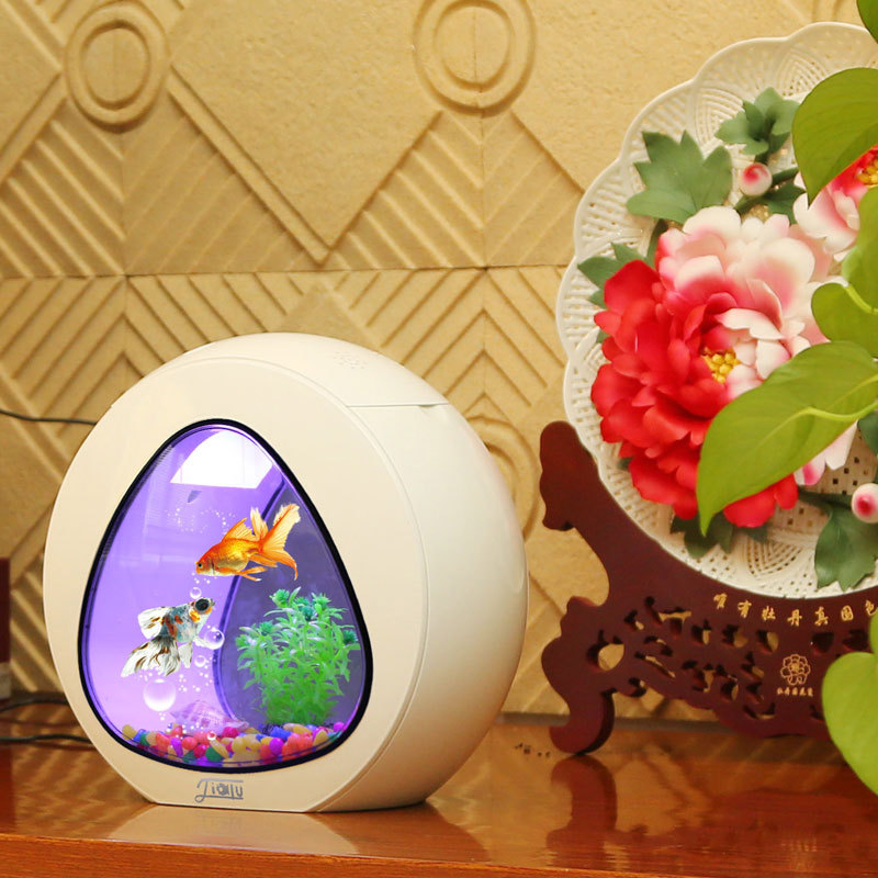 Jialu kreative Desktop Aquariu – Aquarium Fish Delivery Bewertung und Preis