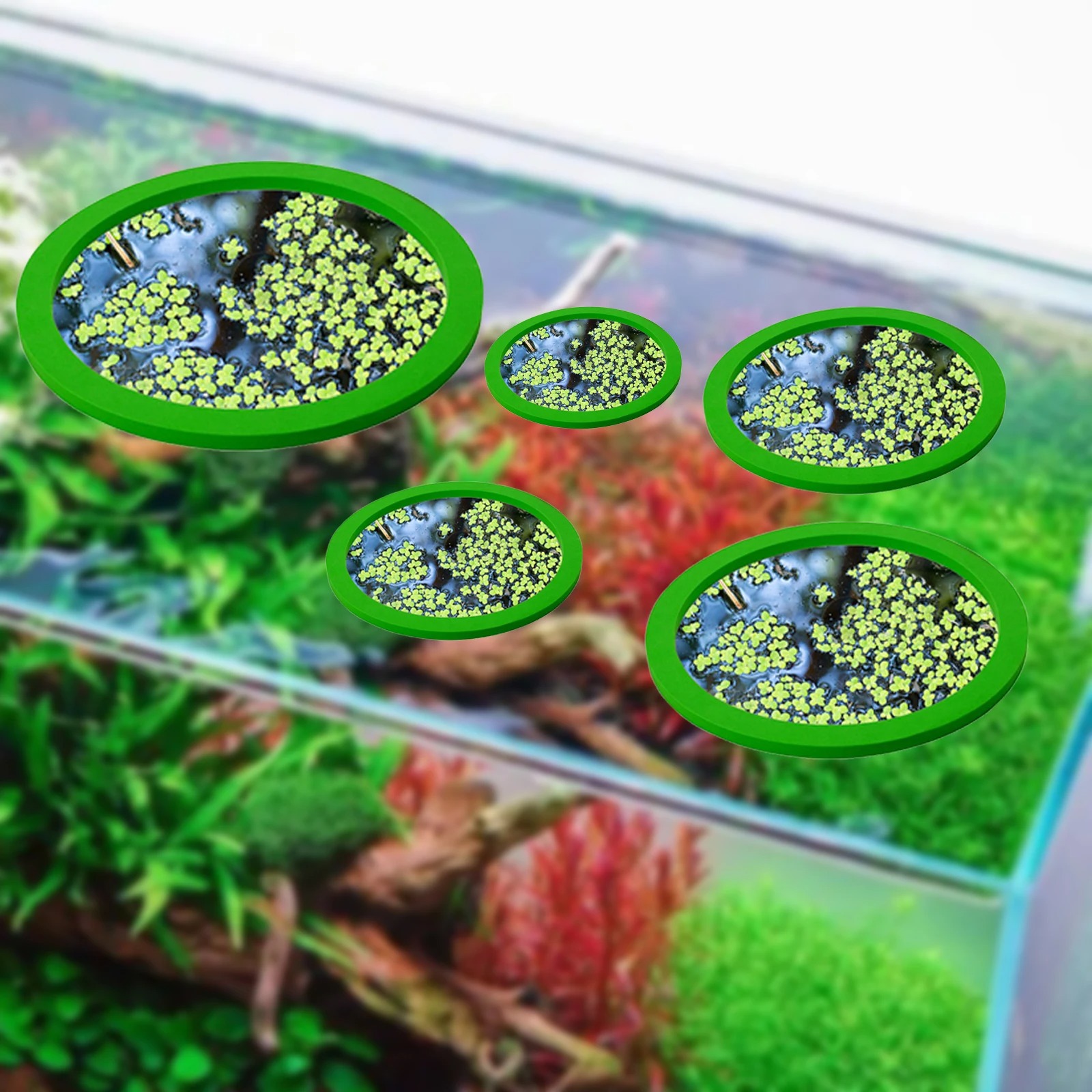 5Pcs EVA Fisch Fütterung Ring  – Aquarium Fish Marine Bewertung und Preis