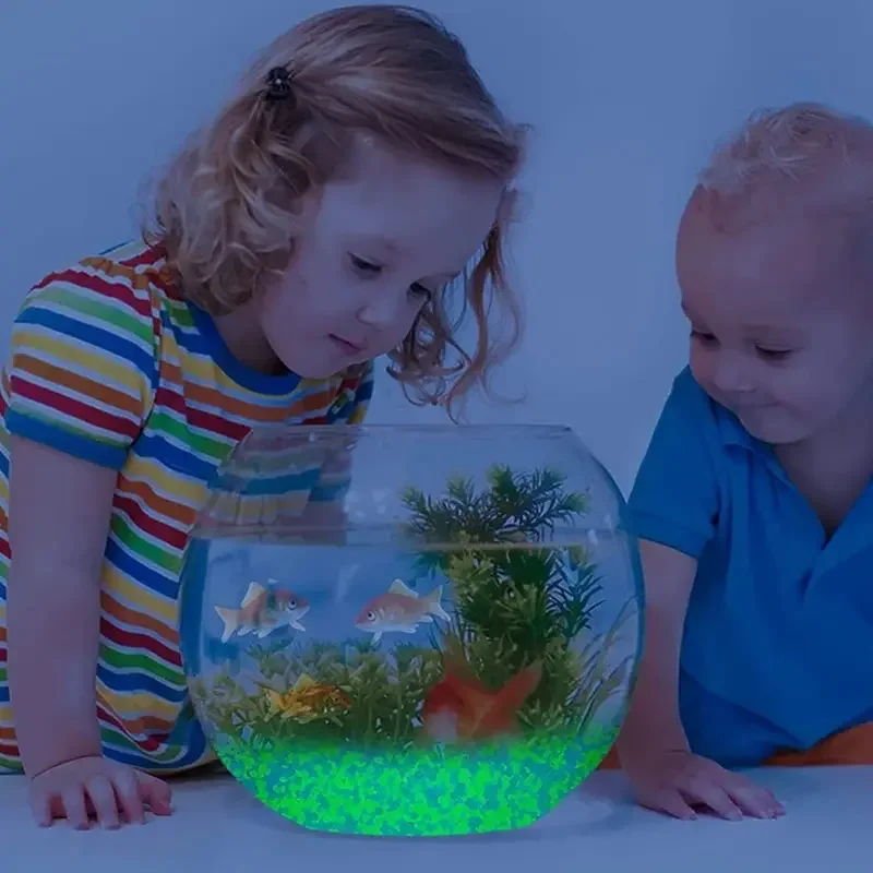 1000 Stück 3–5 mm leuchtender  – Aquarium Fish Store Bewertung und Preis