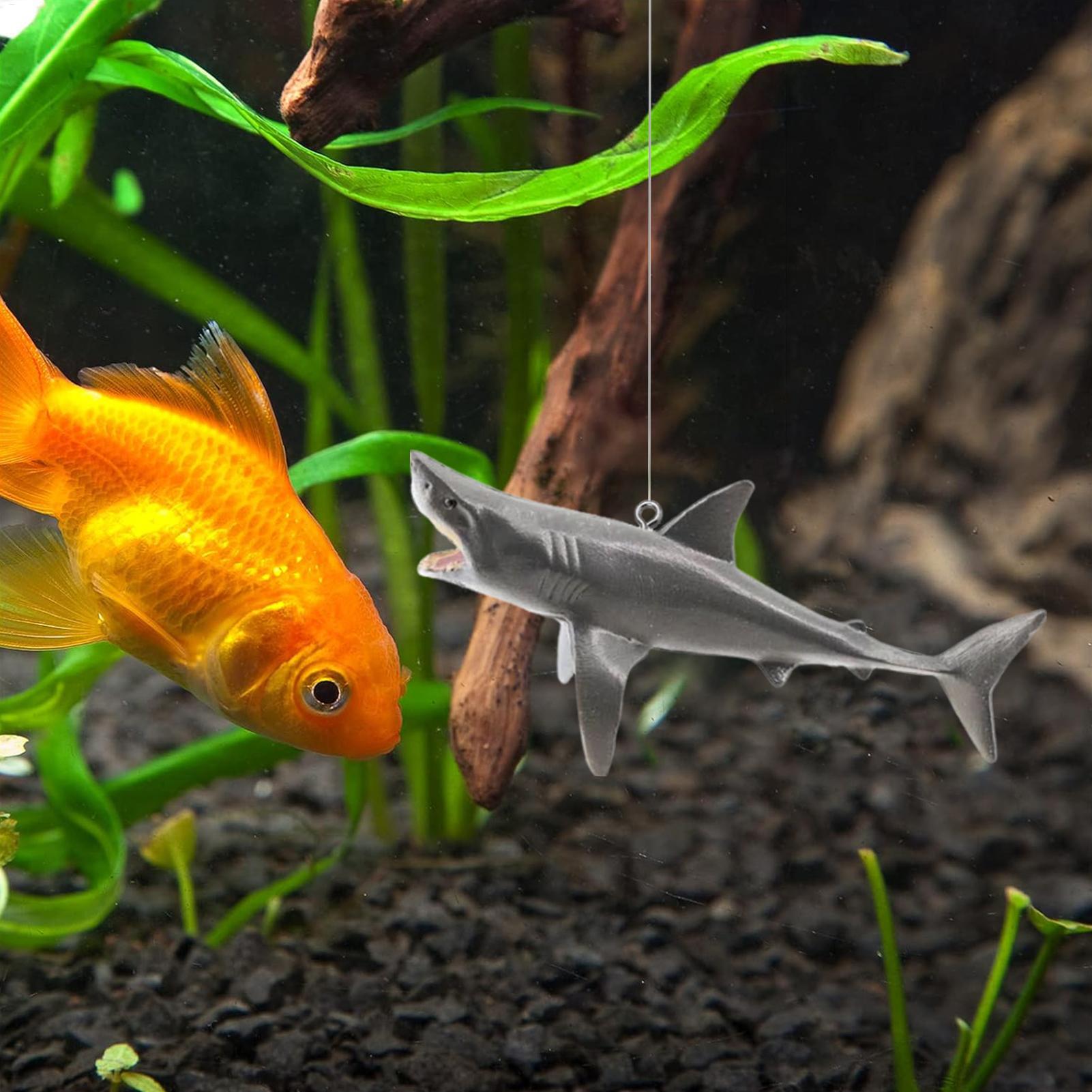 Schwimmende Hai-Aquarium-Lands – Aquarium Fish Games Bewertung und Preis