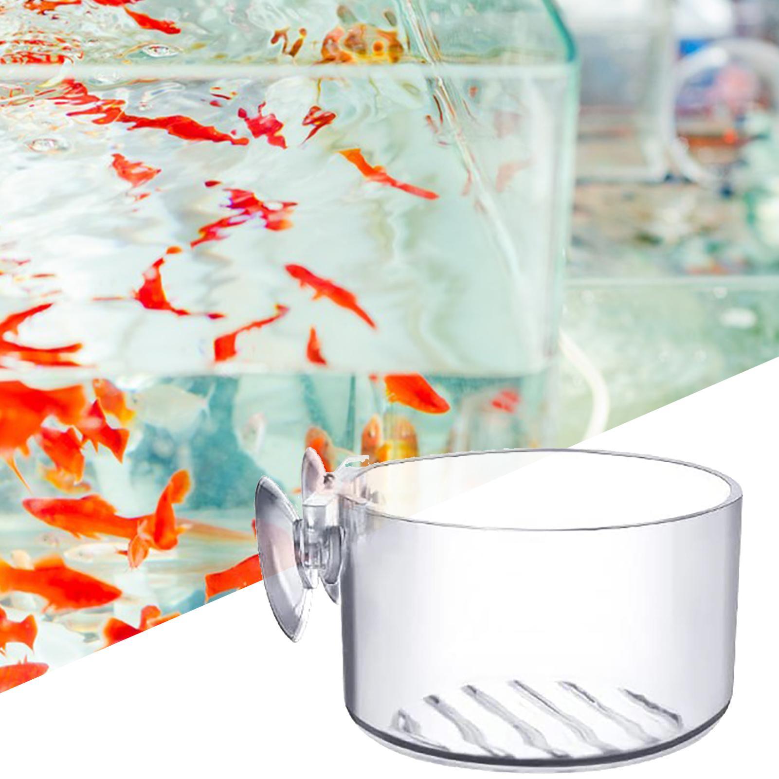 Saugnapf-Aquarienpflanzenhalte – Aquarium Fish Beautiful Bewertung und Preis