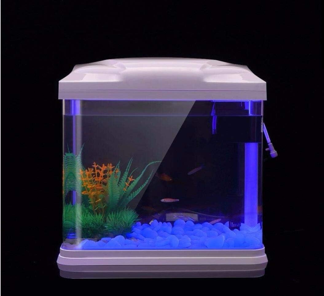 Aquarium-Felsen leuchten blaue – Aquarium Fish Store Bewertung und Preis