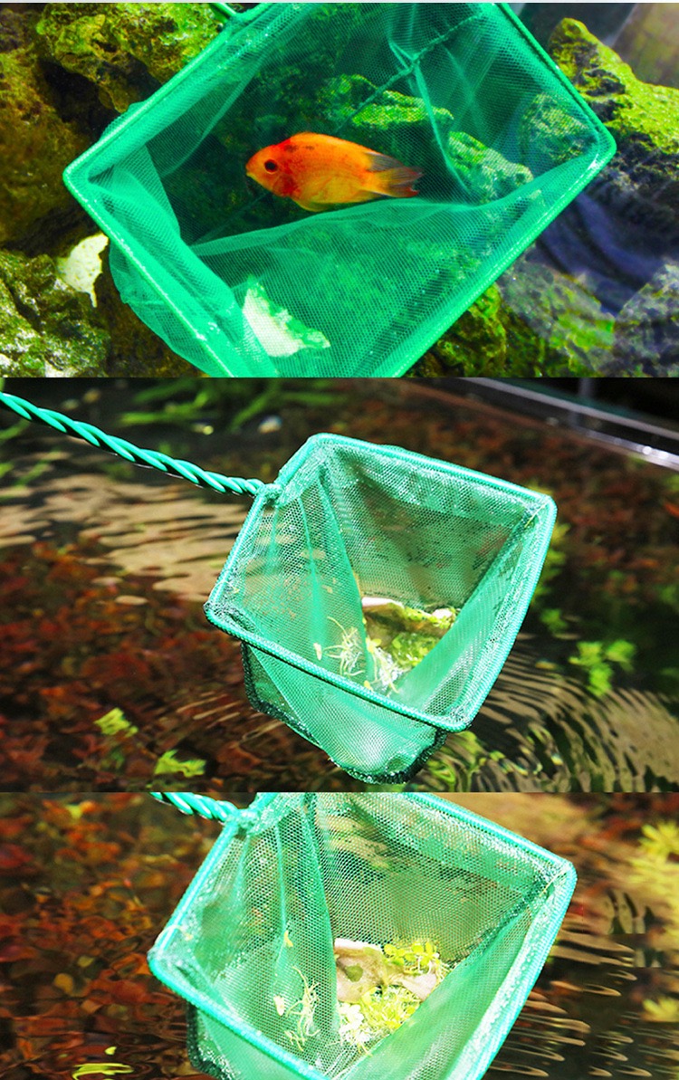 Tragbares großes Fischernetz,  – Aquarium Fish Net Big Size Bewertung und Preis