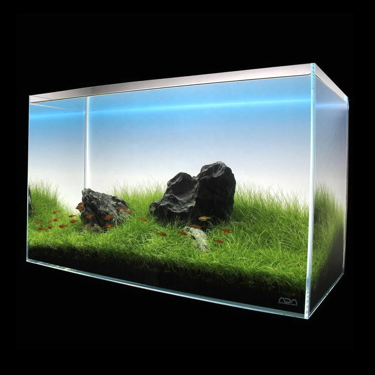 Hochwertiges Aquarium-Panel mi – Aquarium Fish Rate Bewertung und Preis