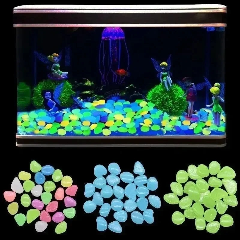 100–1000 Stück leuchtender Ste – Aquarium Fish Store Bewertung und Preis