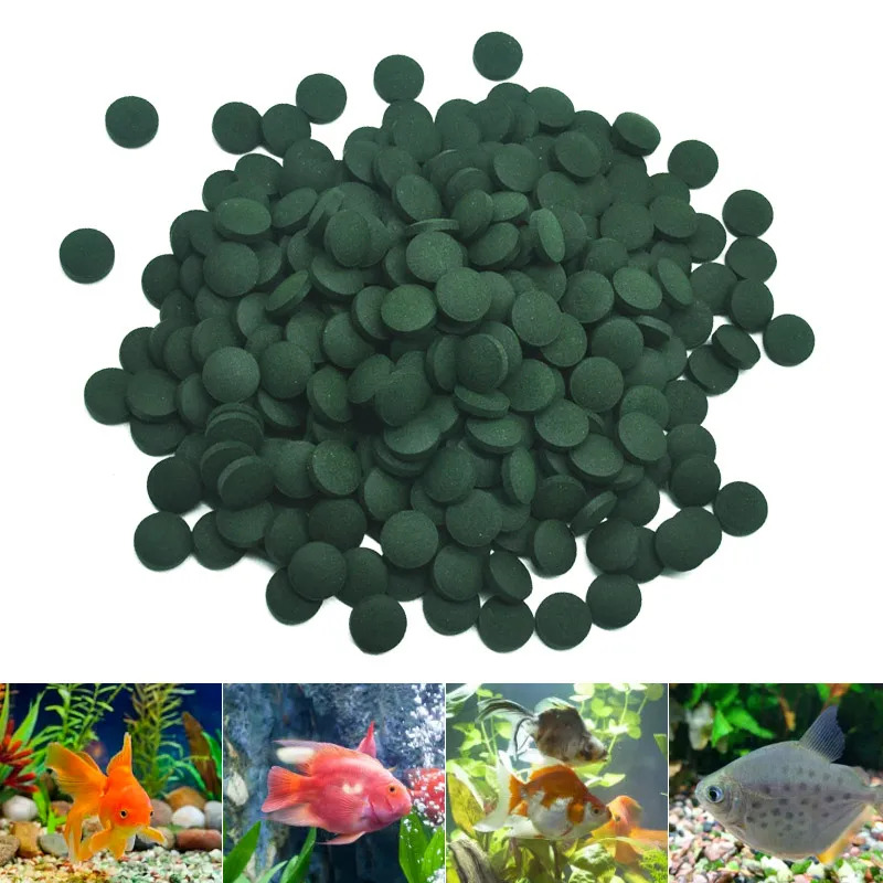 50–300 Stück hochreine Spiruli – Aquarium Fish Price Bewertung und Preis