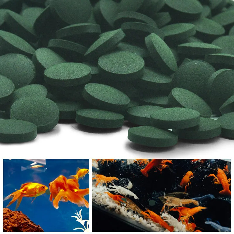 50–300 Stück hochreine Spiruli – Aquarium Fish Price Bewertung und Preis