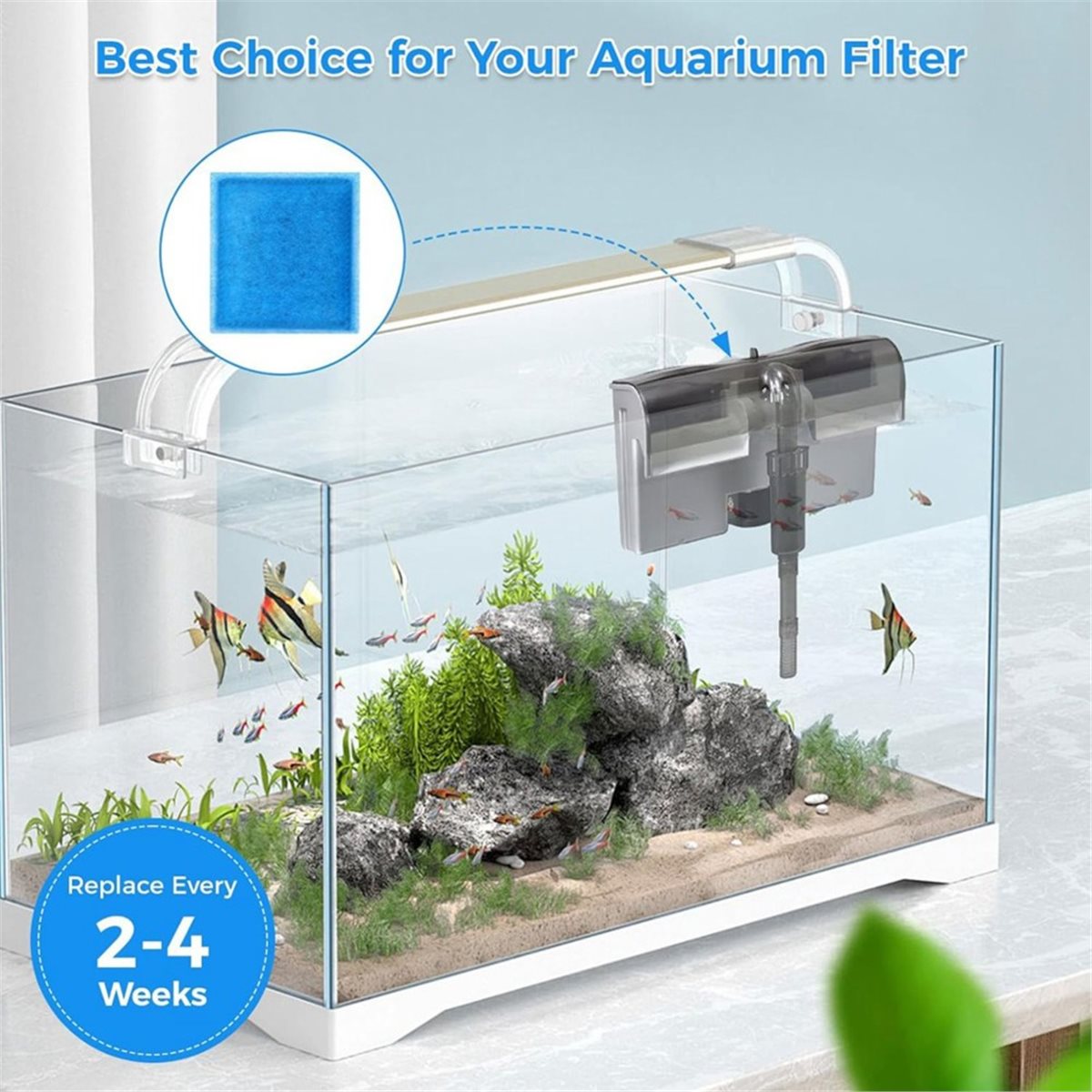 《BESTBEWERTET》10 Stück Aquariu – Aquarium Fish Rate Bewertung und Preis