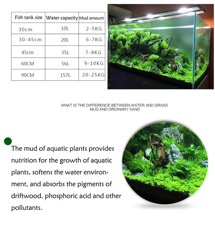 Aquarium Pflanzen Samen Boden  – Aquarium Fish Price Bewertung und Preis