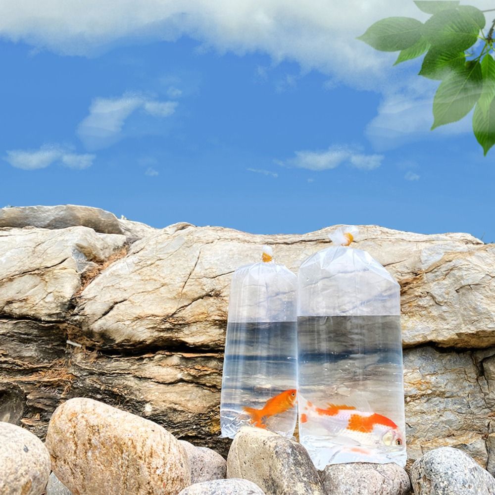 10 Stück Plastik-Aquarium-Tran – Aquarium Fish Delivery Bewertung und Preis