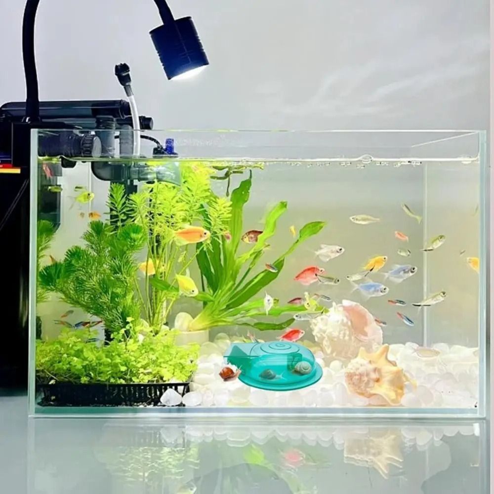Süßwasser- und Salzwasser-Aqua – Aquarium Fish Eggs Bewertung und Preis