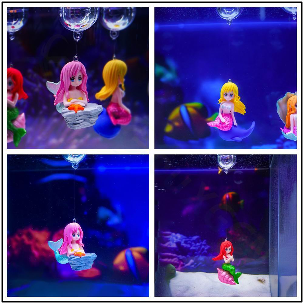 Wunderschöne Meerjungfrau-Aqua – Aquarium Fish Beautiful Bewertung und Preis