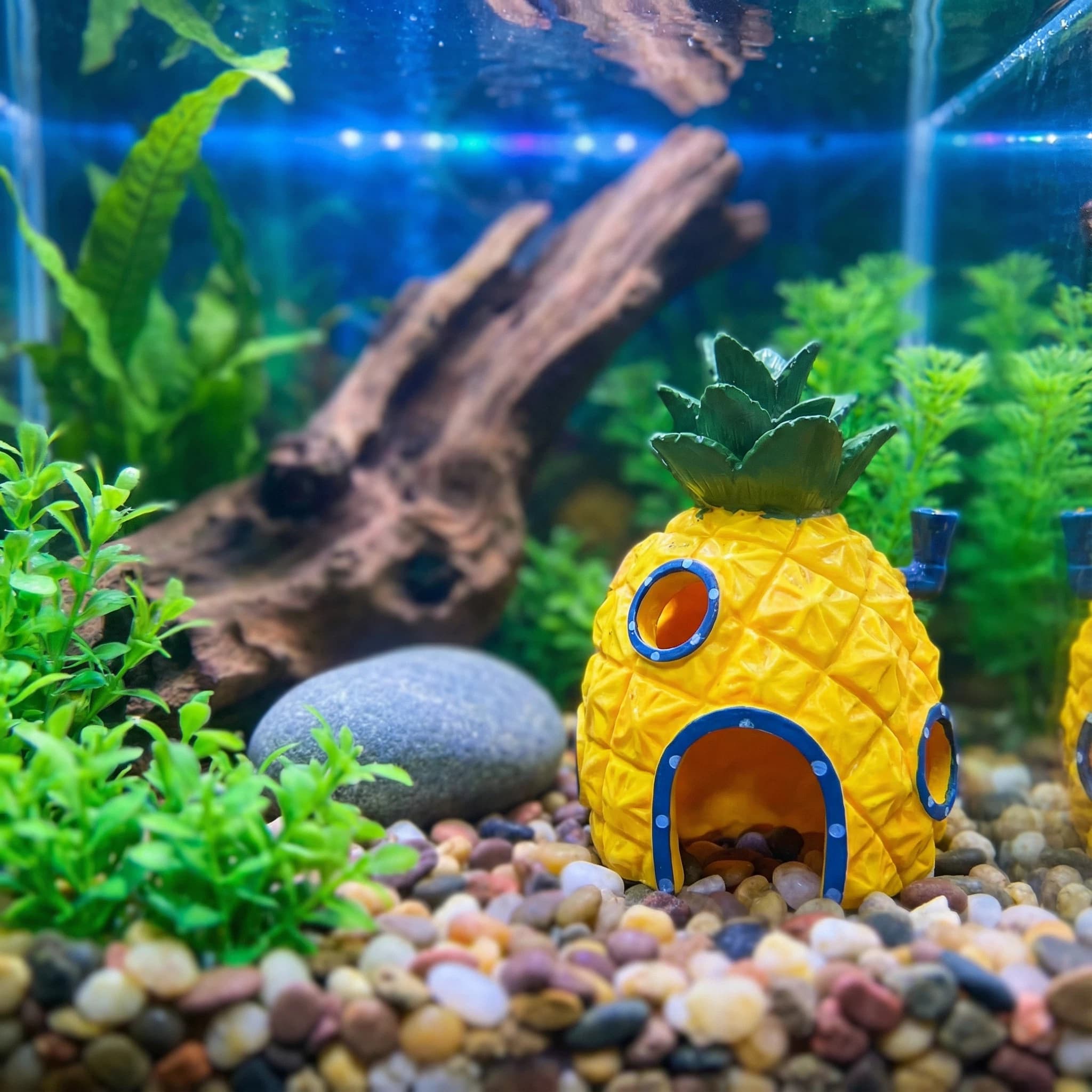 Ananas-Haus-Aquarium-Dekoratio – Aquarium Fish Games Bewertung und Preis
