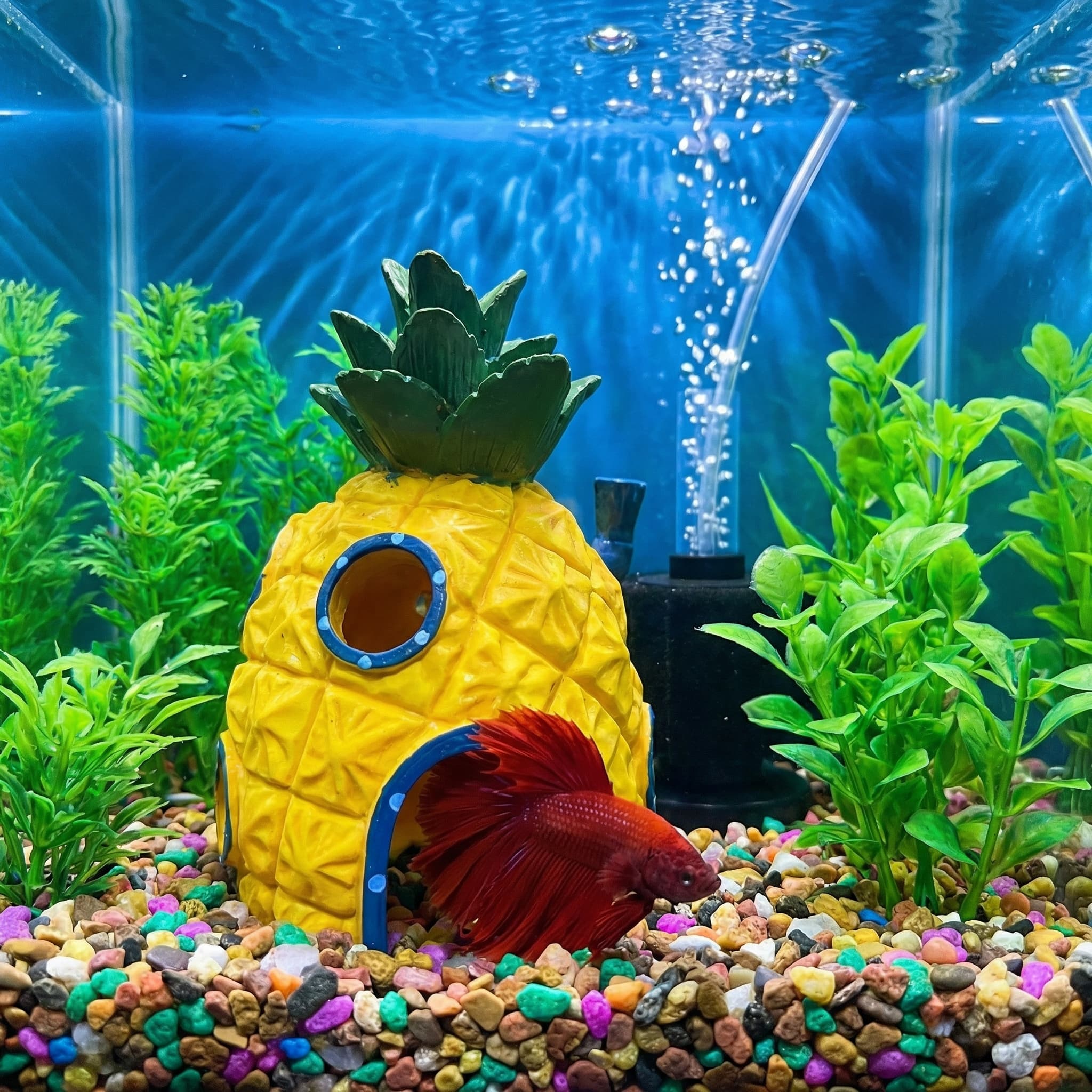Ananas-Haus-Aquarium-Dekoratio – Aquarium Fish Games Bewertung und Preis