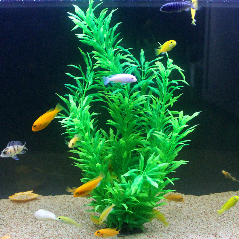 50CM Künstliche Aquarium Selte – Aquarium Fish Store Bewertung und Preis