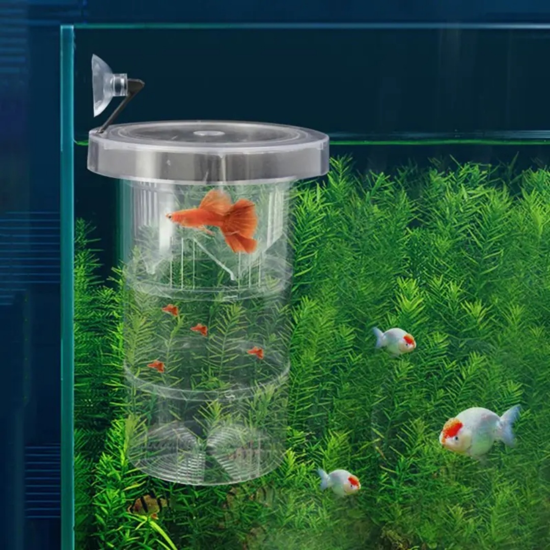 Acryl Schwimmende Fische Zucht – Aquarium Fish Marine Bewertung und Preis