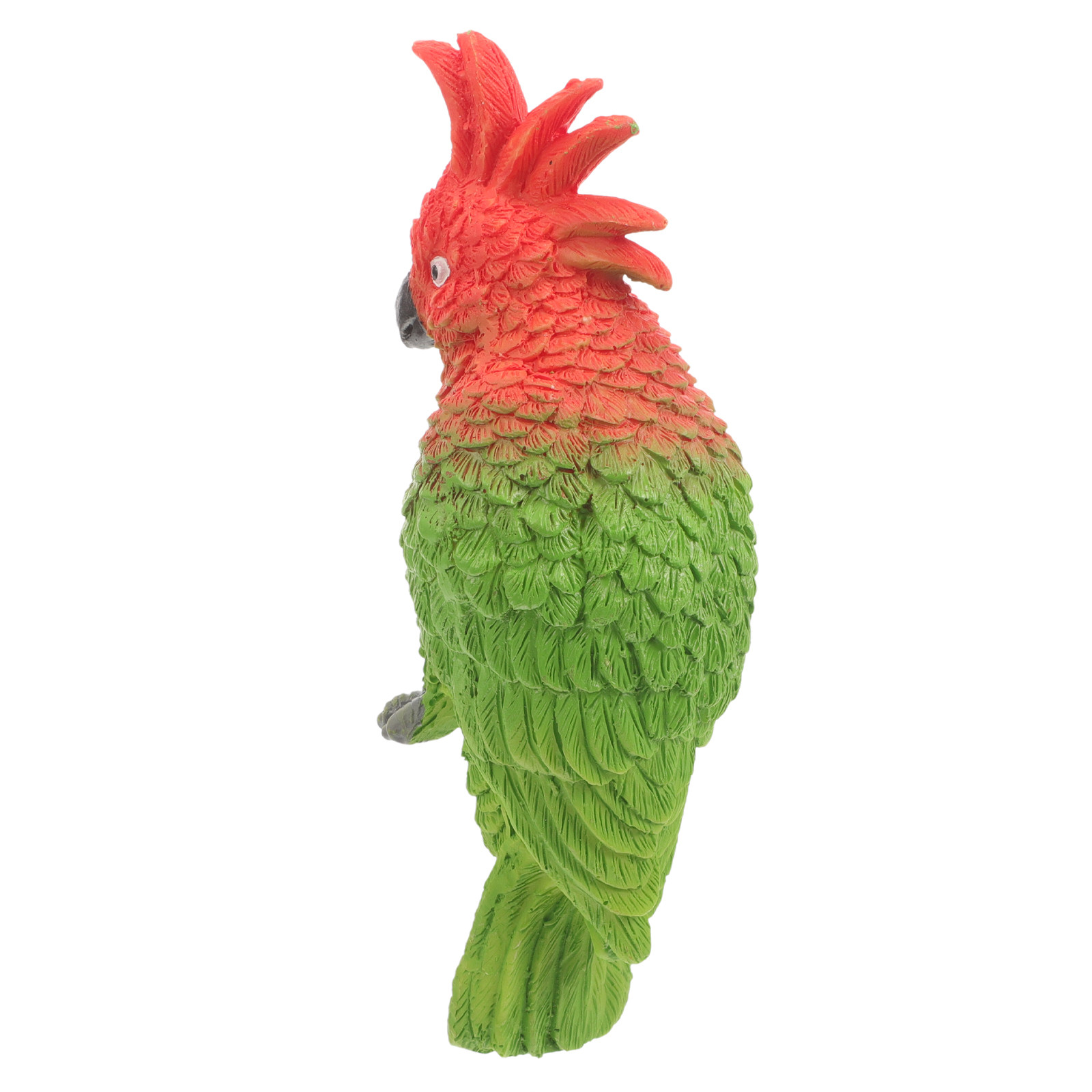 Mini-Papageien-Aquarium Wandde – Aquarium Fish Parrot Bewertung und Preis