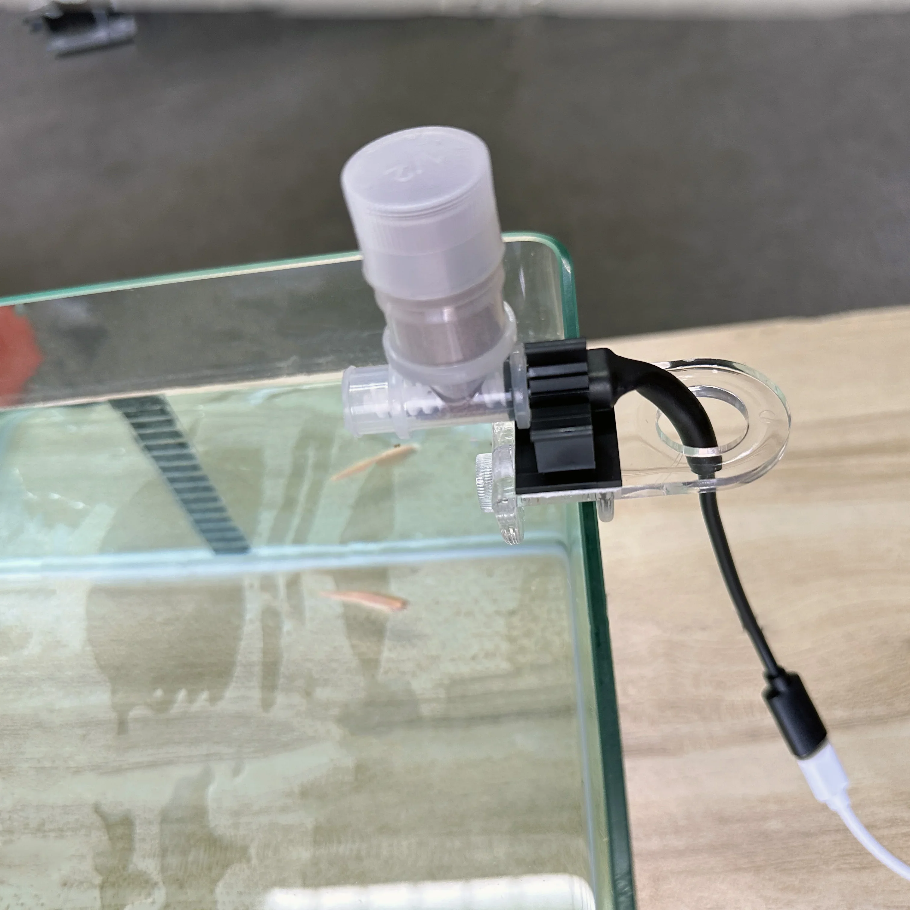 Bester automatischer Fischfutt – Aquarium Fish Price Bewertung und Preis