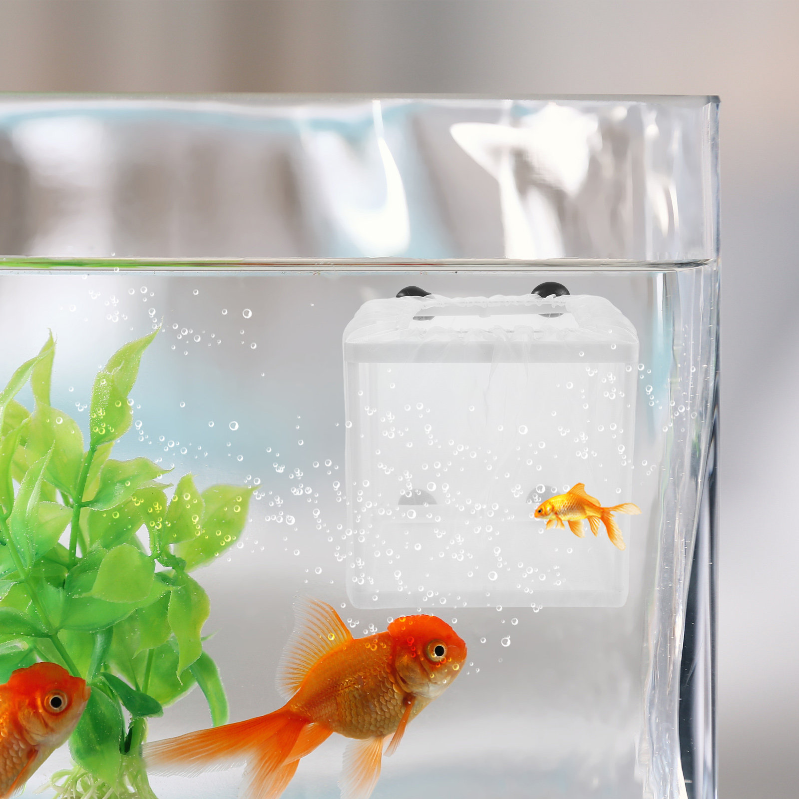 2er-Set Fischzuchtbox Aquarium – Aquarium Fish Eggs Bewertung und Preis