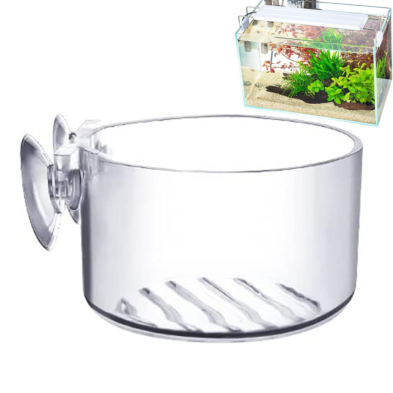 Aquarium-Dekorationspflanzento – Aquarium Fish Beautiful Bewertung und Preis