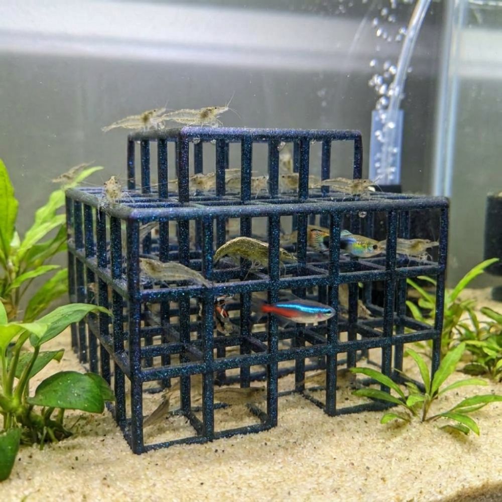 3D-Gedrucktes Fisch- und Garne – Aquarium Fish Games Bewertung und Preis