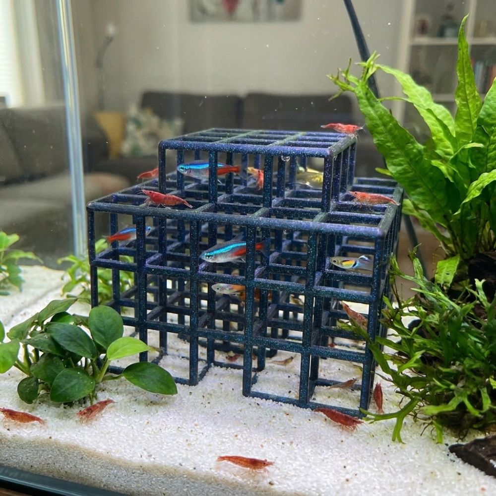 3D-Gedrucktes Fisch- und Garne – Aquarium Fish Games Bewertung und Preis