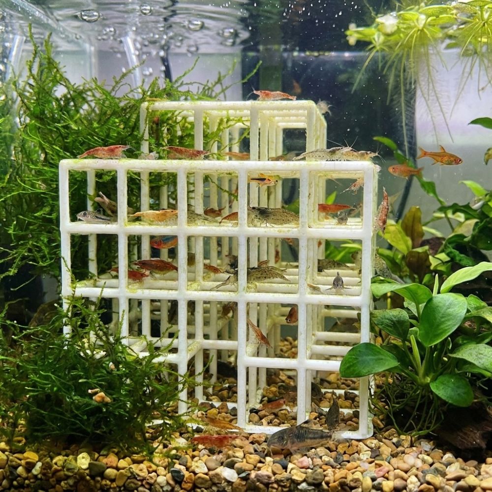 3D-Gedrucktes Fisch- und Garne – Aquarium Fish Games Bewertung und Preis
