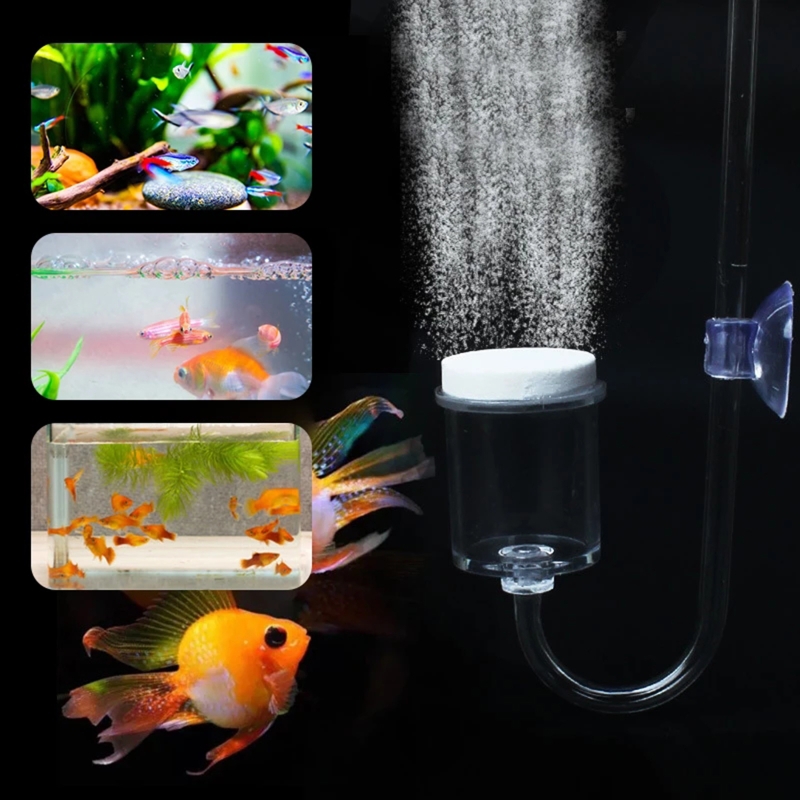 4 stücke Set DIY CO2-Diffusor  – Aquarium Fish Store Bewertung und Preis