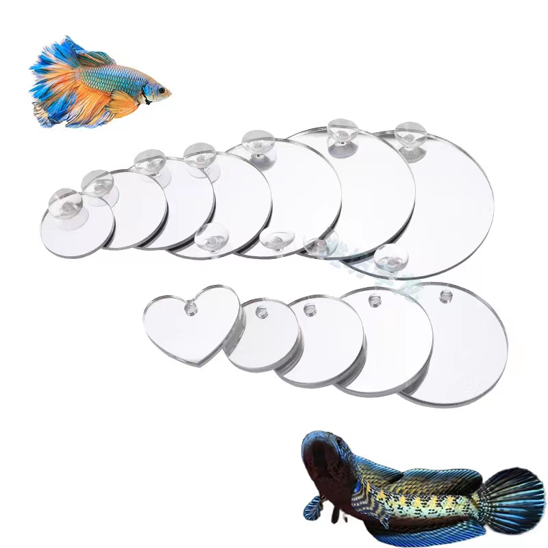 Aquarium Betta Spiegel Aquariu – Aquarium Fish Cichlid Bewertung und Preis