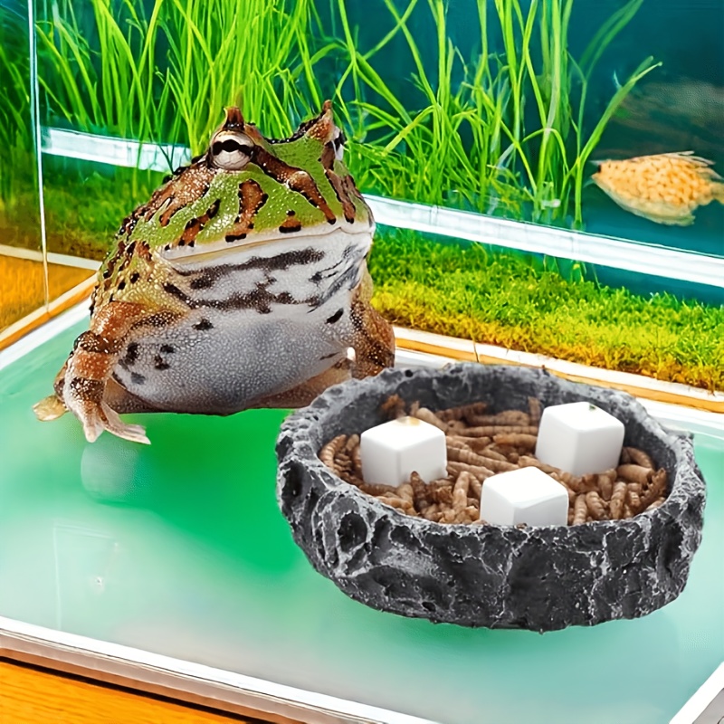 6-teiliger Aquarium-Kalziumblo – Aquarium Fish Games Bewertung und Preis