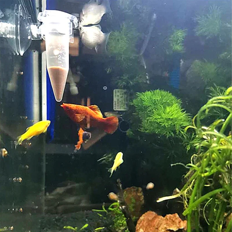 Automatische Fisch Feeder Kege – Aquarium Fish Eggs Bewertung und Preis