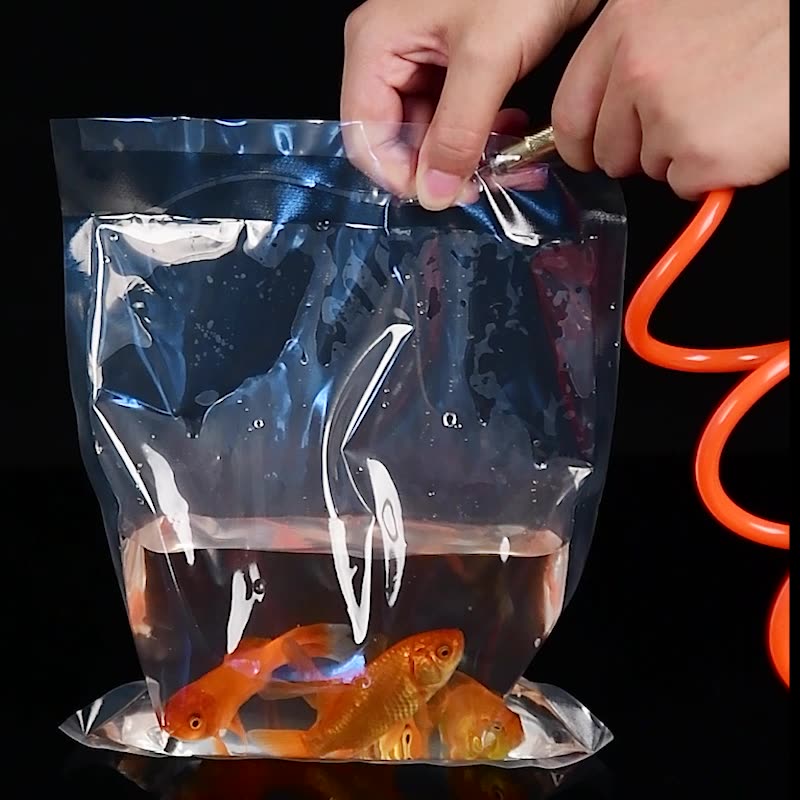 Tetp 100pcs transparente Zierf – Aquarium Fish Delivery Bewertung und Preis